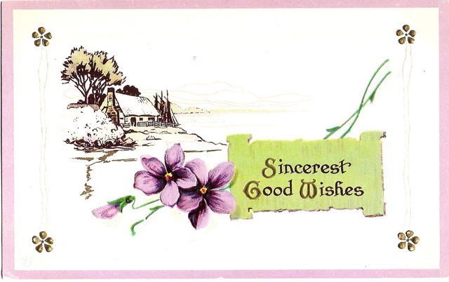 violet postcard